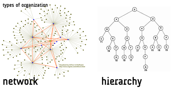 network vs. hierarchy