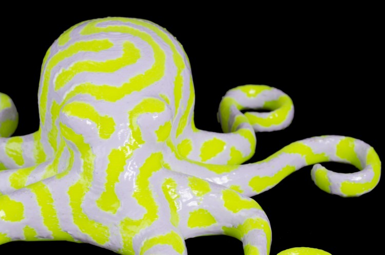 a shiny vapor smoothed 2-color octopus