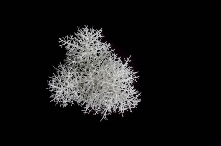 hyphae 3D #1 - nylon 3D printed by Selective Laser Sintering