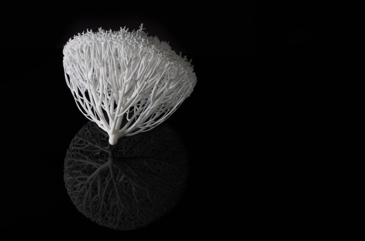 hyphae 3D #2 - nylon 3D printed by Selective Laser Sintering