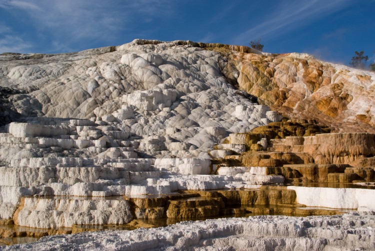 the giant travertine terraces of Mammoth Hot Springs in Yellowstone National Park