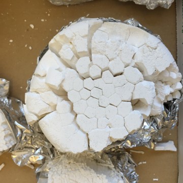 polygonal joints in cornstarch