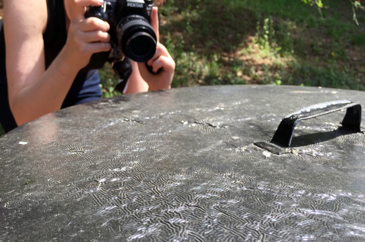 Jessica photographing the trash can at the Arnold Arboretum