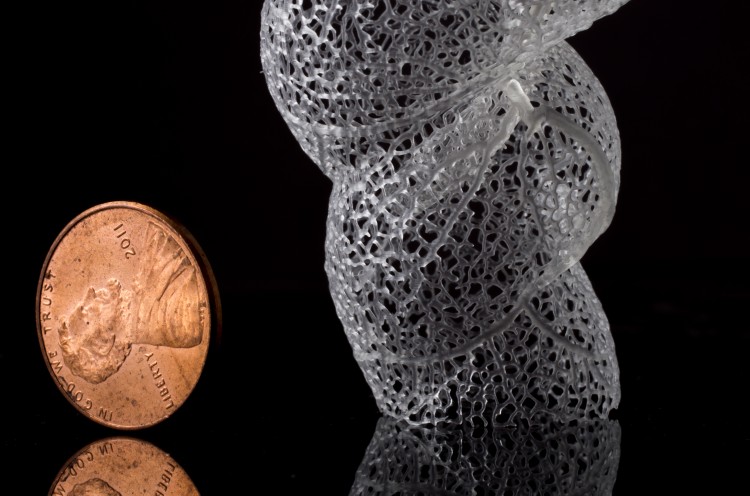 hyphae spiral 3d-printed on autodesk ember