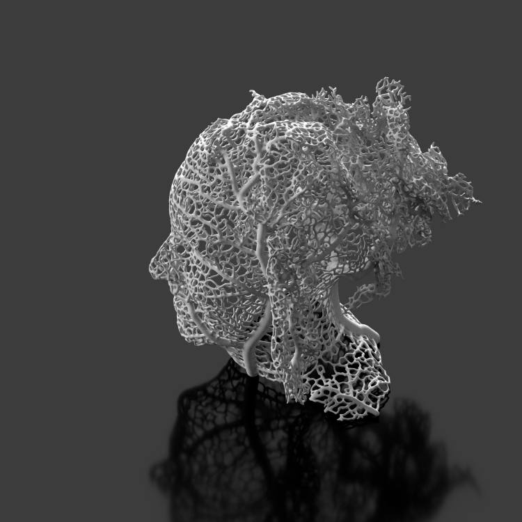 hyphae experiments: growing on the body