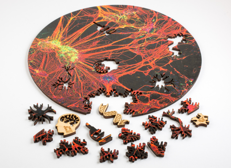 orange neural network puzzle by nervous system