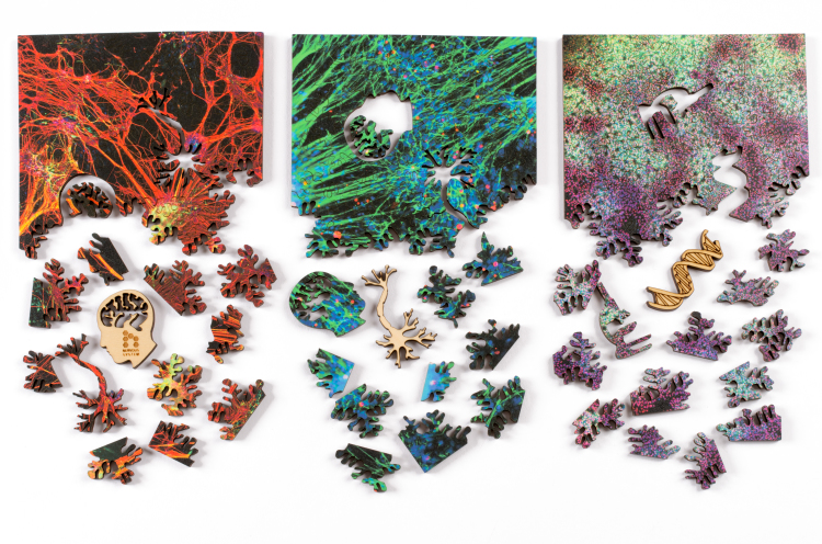 three 5x5" jigsaw puzzles