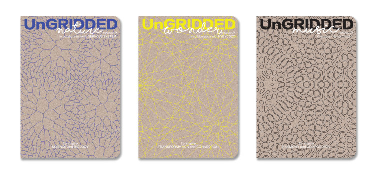 08_UnGRIDDED_Notebook_Series2