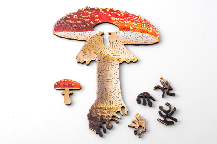 mini mushroom puzzle by nervous system