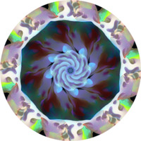 #203