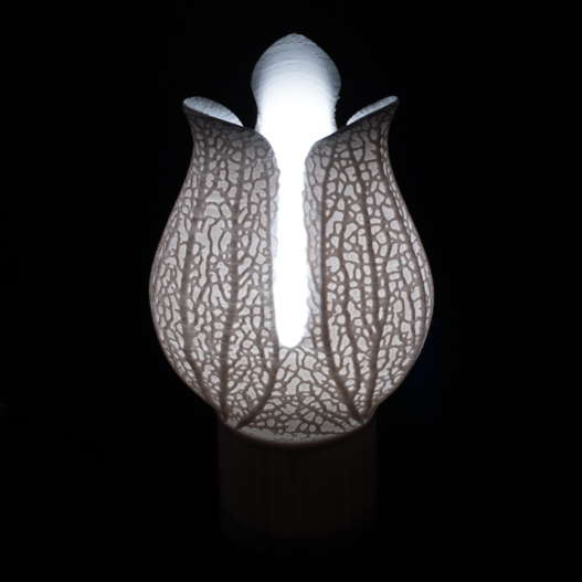 Hyphae Calyx Lamp