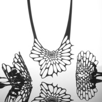 Radiolaria