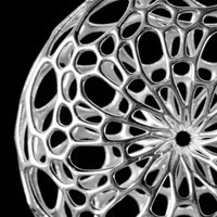 Cell Cycle