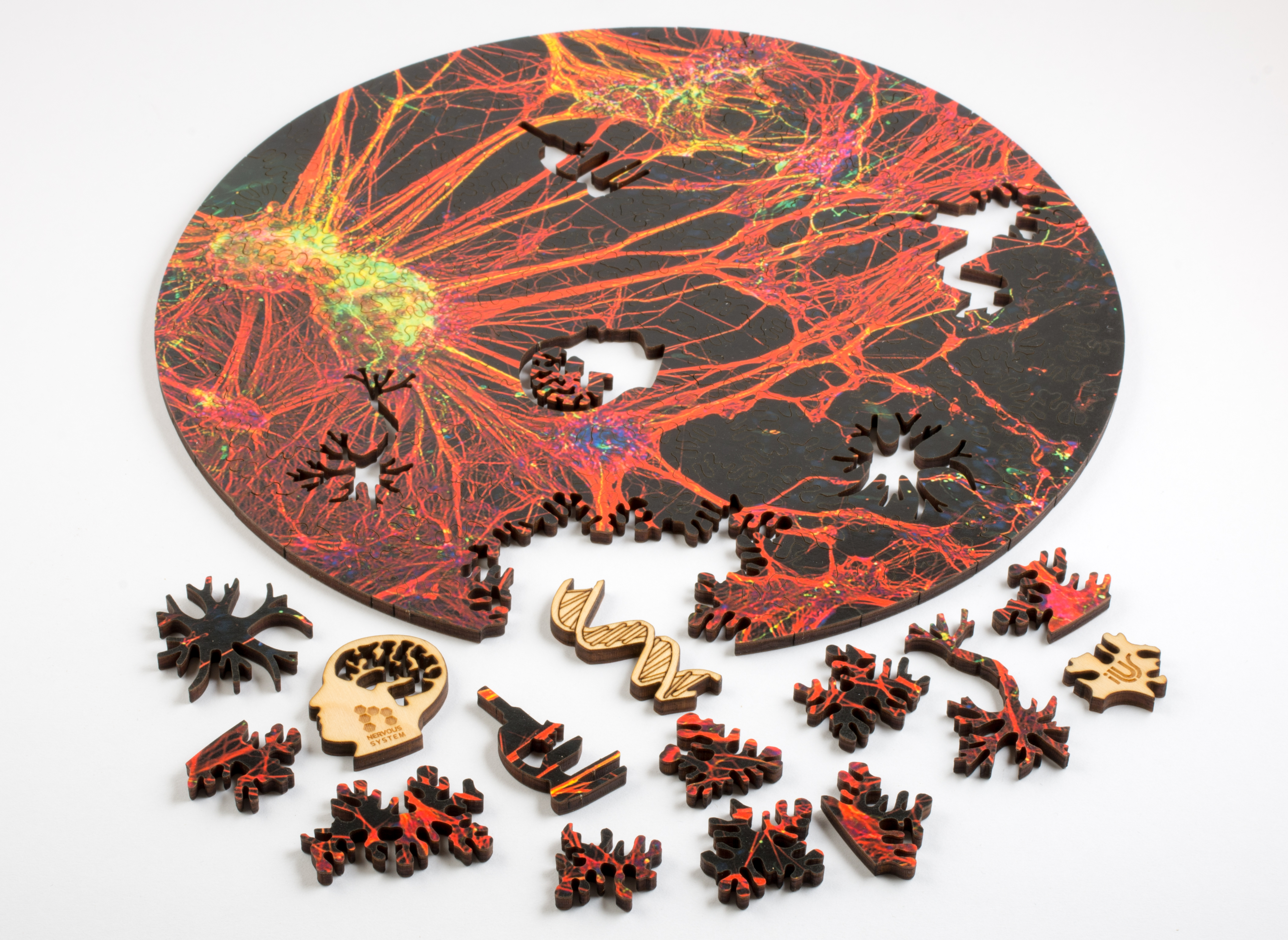 microscopic art jigsaw puzzles