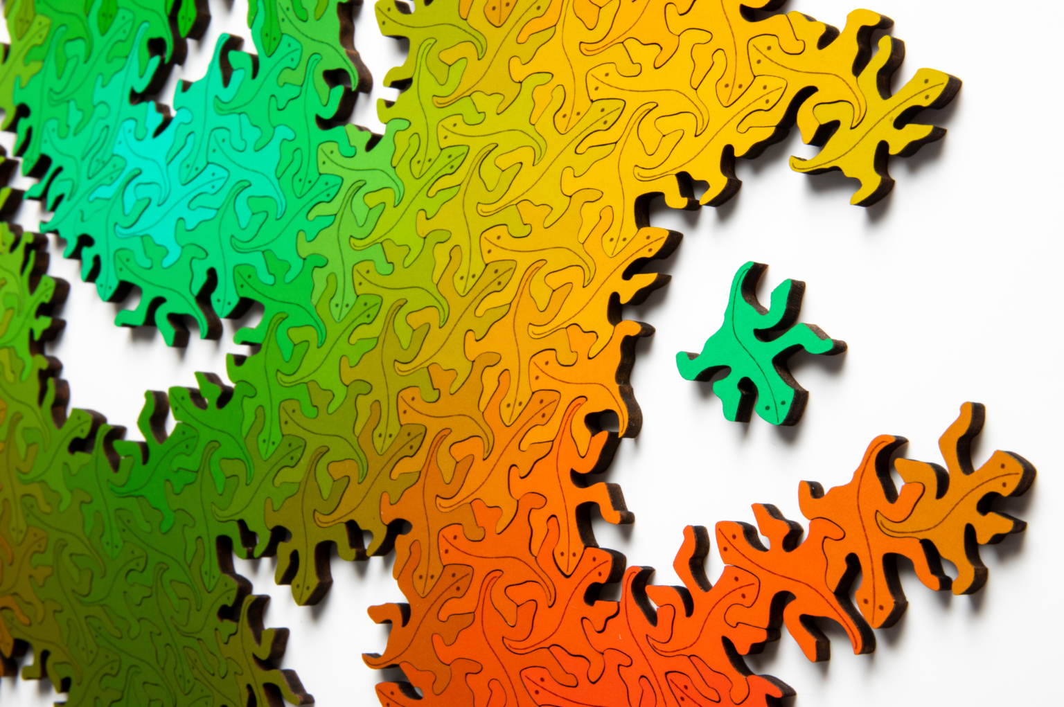 Lizard Infinity Puzzle™ – Nervous System blog