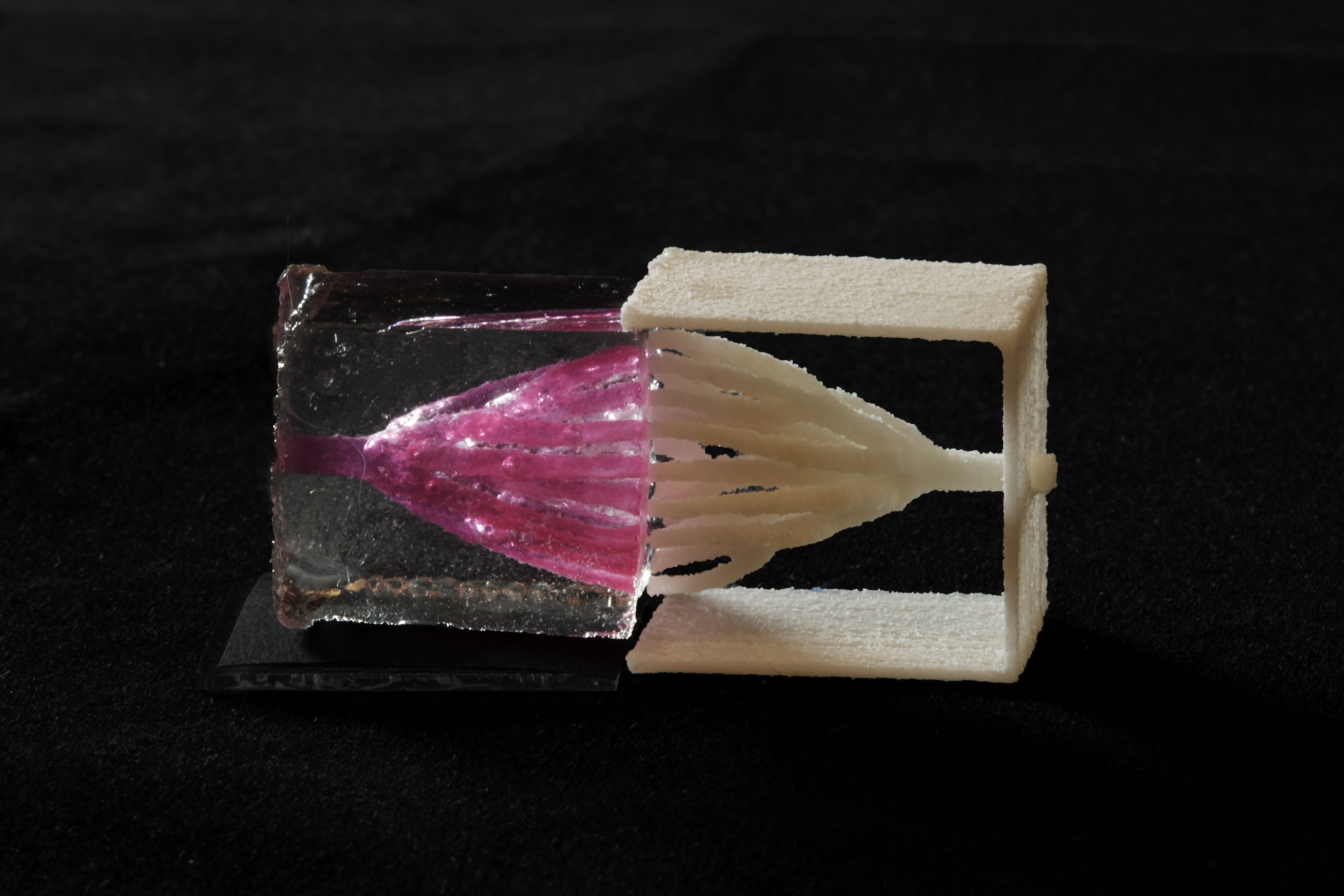 Making blood vessels with 3D-printed sugar