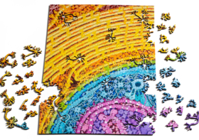 Neuron and Mycoplasma Puzzles with art by David S. Goodsell