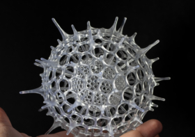Crafting Radiolaria Sculptures – from microscopic life to art