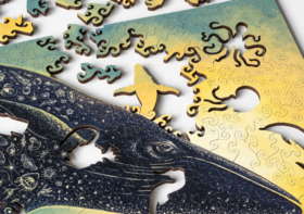 New puzzles: Bioluminescence and Ocean Tapestry