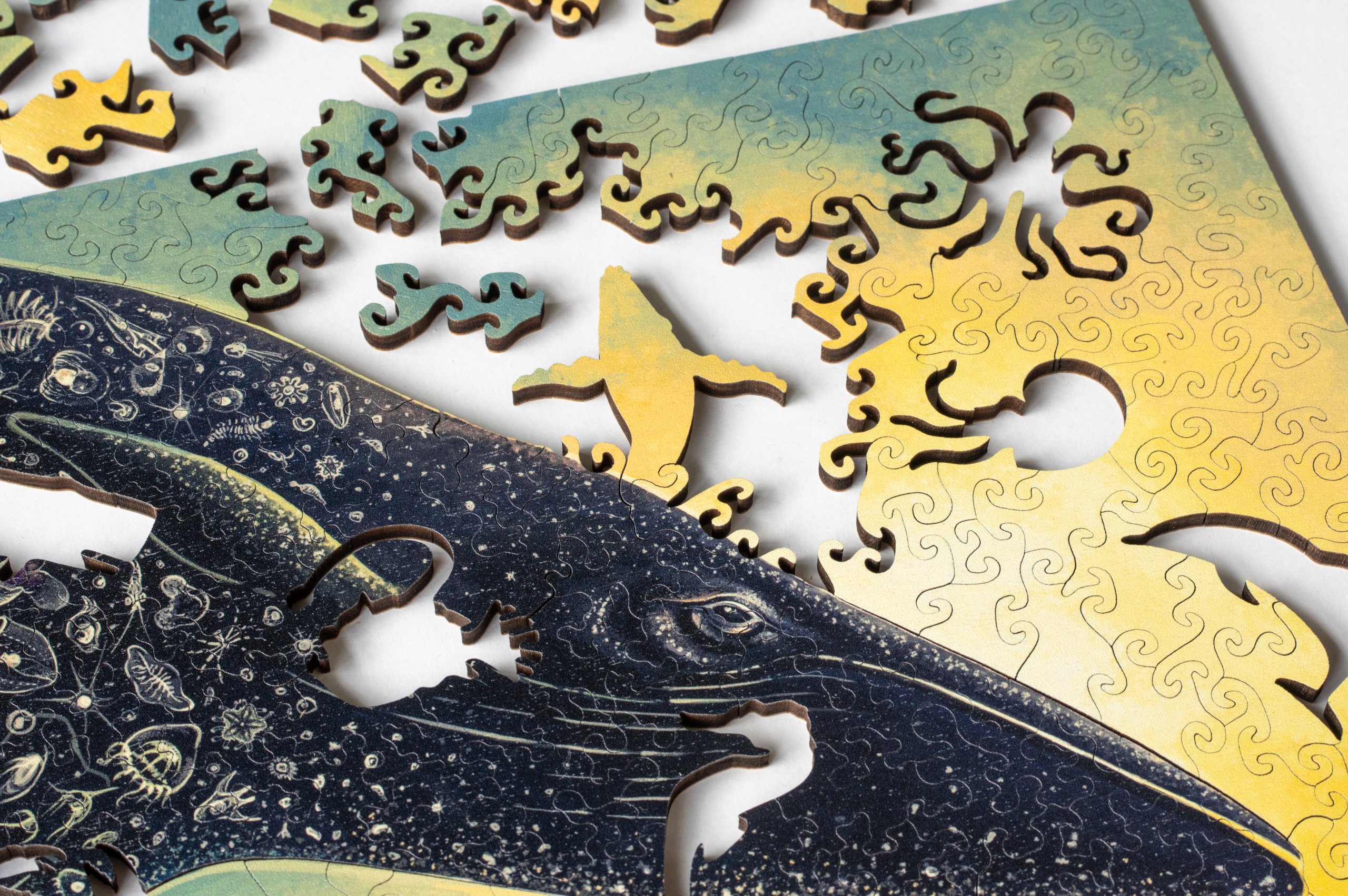 New puzzles: Bioluminescence and Ocean Tapestry – Nervous System blog