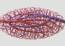 Nervous System collaborates with scientists to create 3D bioprinted liver in ARPA-H award