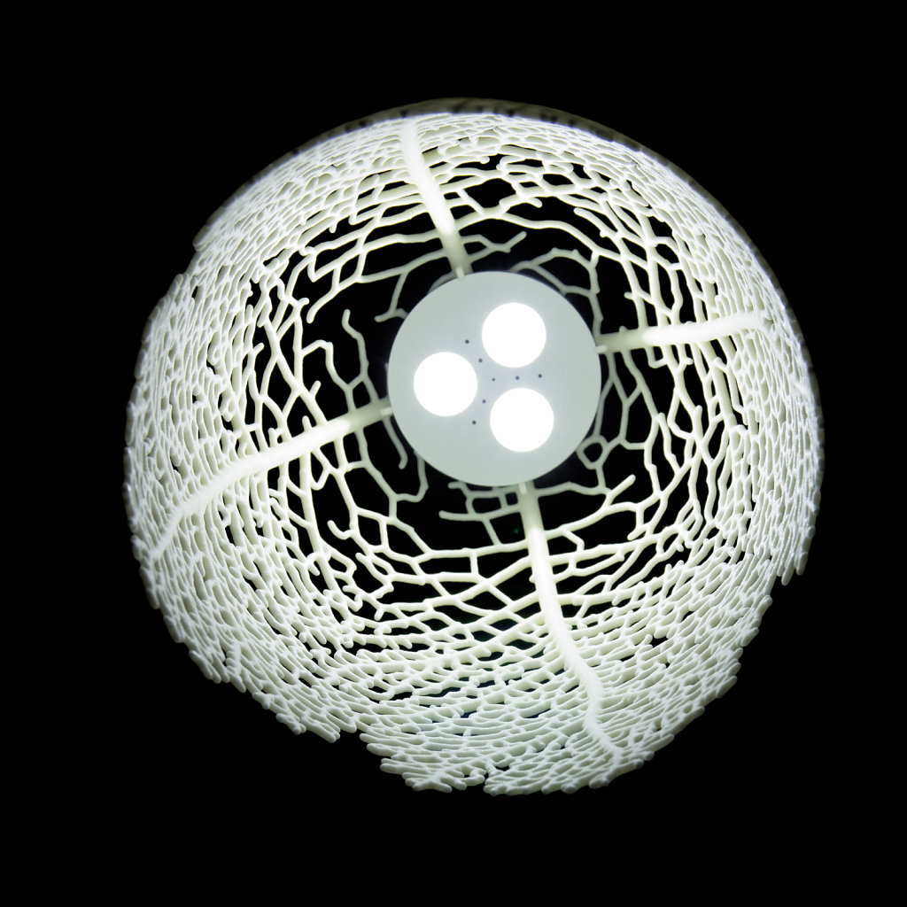 bottom view of a Hyphae pendant lamp