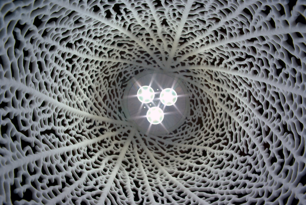 Looking inside a Hyphae Lamp