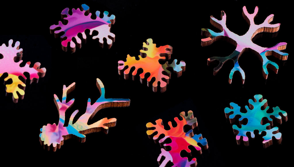 nervous system puzzle pieces