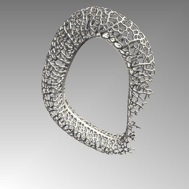 Hyphae - growth of the River Bracelet