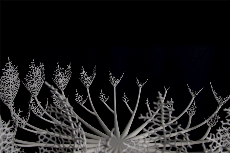 an image of computer generated growing tree branches spinning around a center