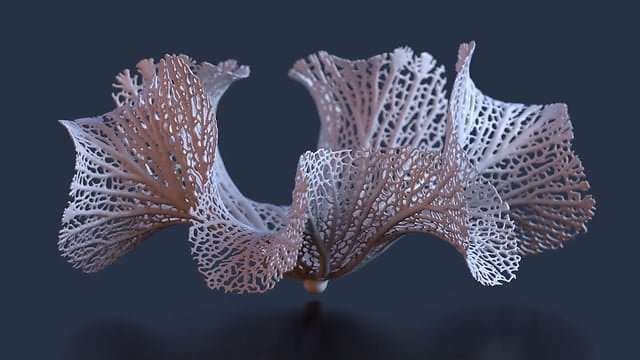 video: growing a hyphae x floraform structure