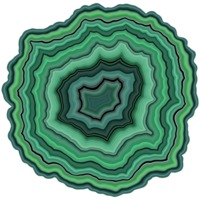 Nervous System | Generative Jigsaw Puzzles | Geode Puzzle