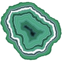 Nervous System | Generative Jigsaw Puzzles | Geode Puzzle