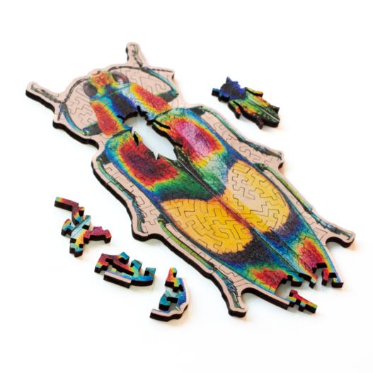 Mini Wooden Puzzles - edition 3