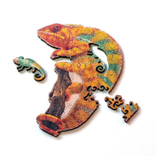 Mini Wooden Puzzles - edition 3