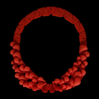 Kinematic Petals flip necklace