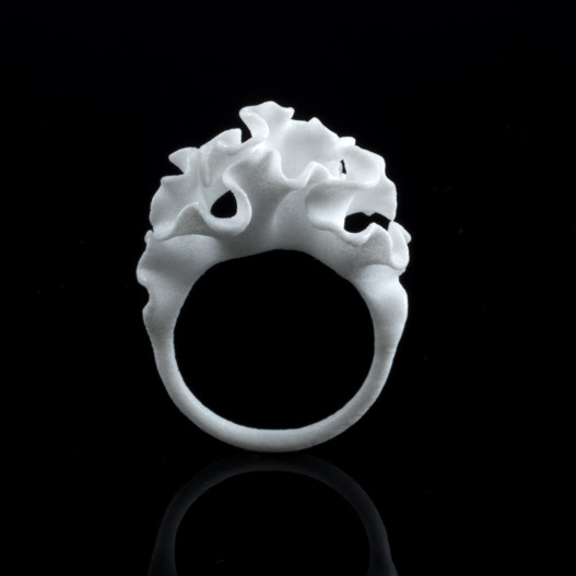 Cnidaria Ring