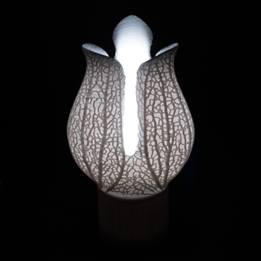 Hyphae Calyx Lamp - digital download