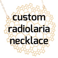 custom radiolaria necklace