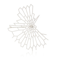 Radiolaria Brooch