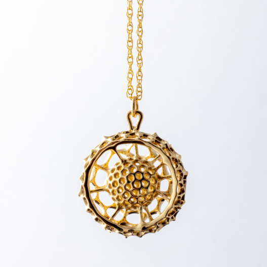 Radiozoa Necklace brass