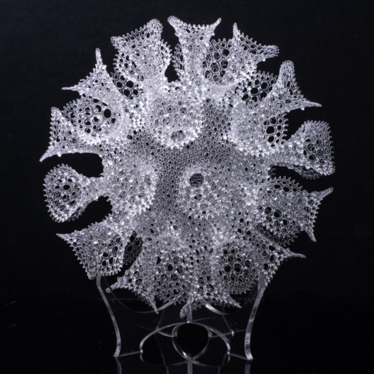 Radiolarian sculpture - Coronosphaera 