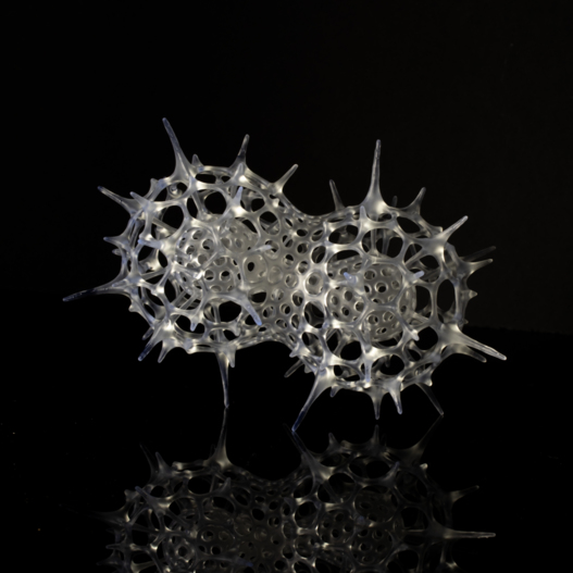 Radiolarian sculpture - Didymocyrtis