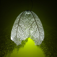 Arboreal Lamp