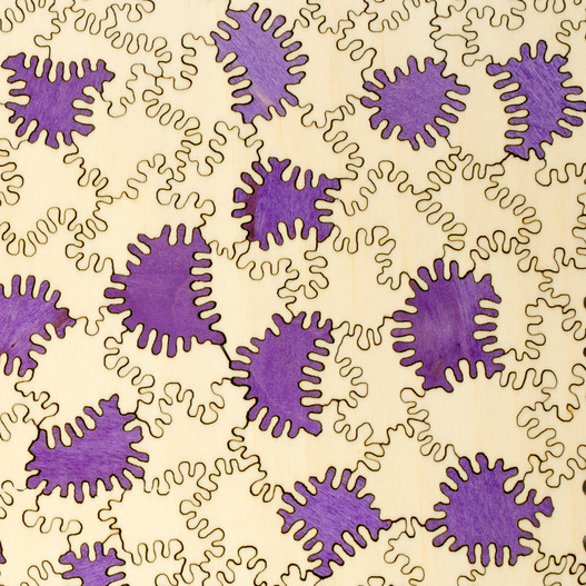 2-in-1 Challenge Puzzle